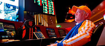 Вход на официальный сайт Spinamba Casino